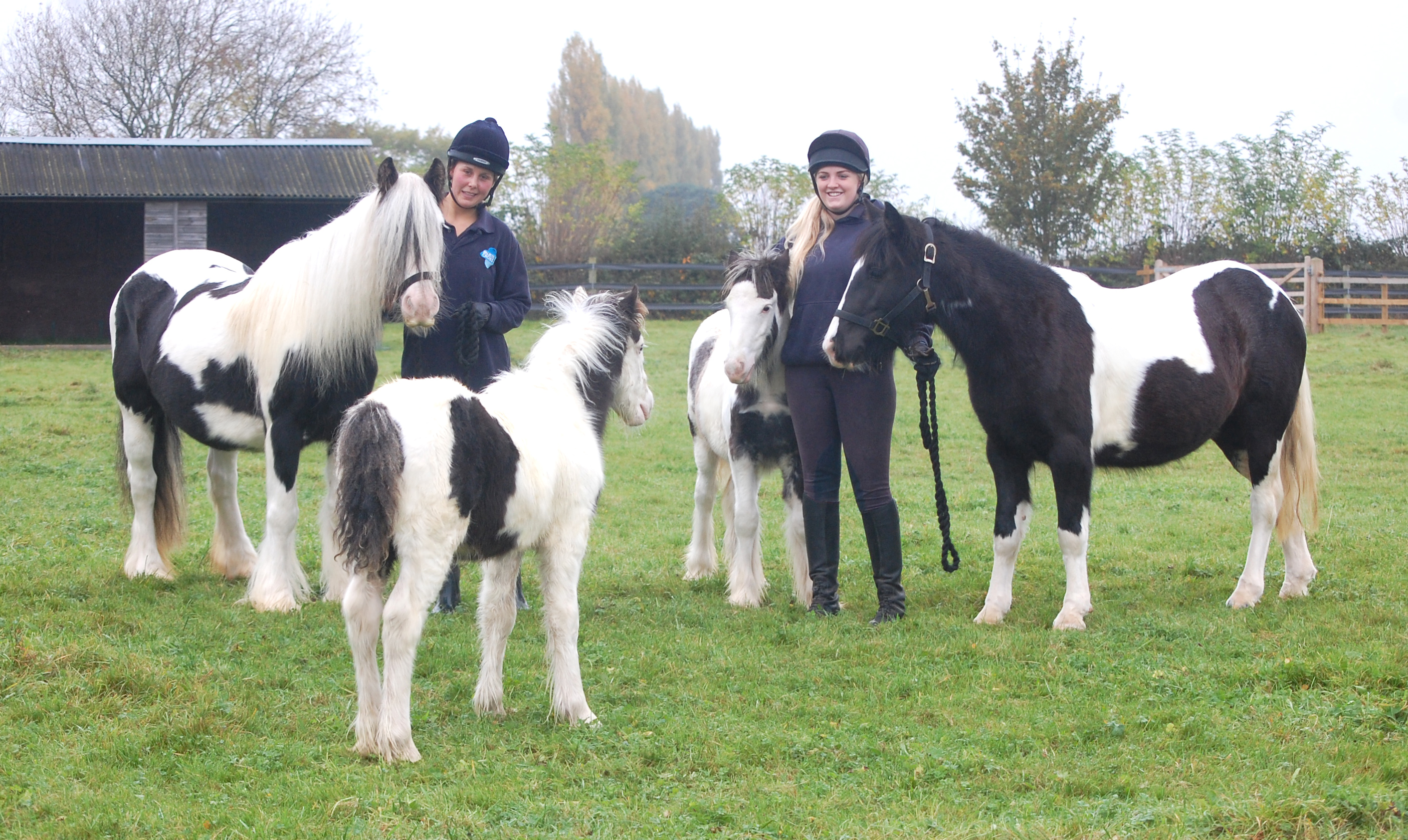 0191-little-miss-agatha-rio-marple-poirot