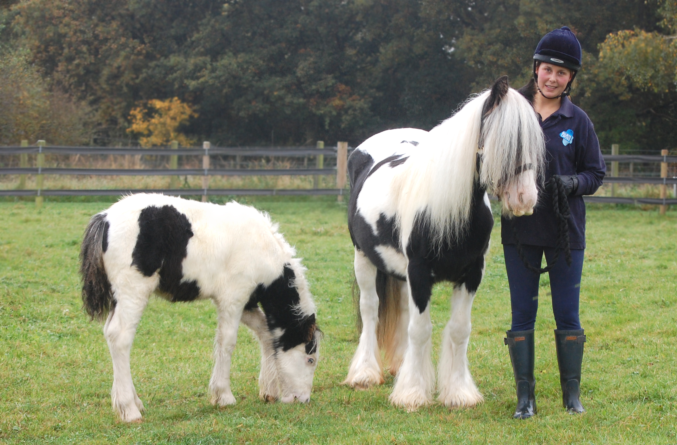 191-little-miss-agatha-and-rio-with-megan-evans