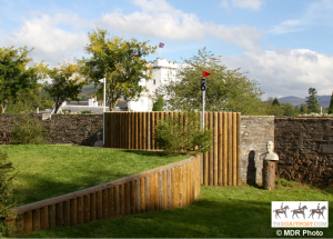 20150911_080151000_iOS