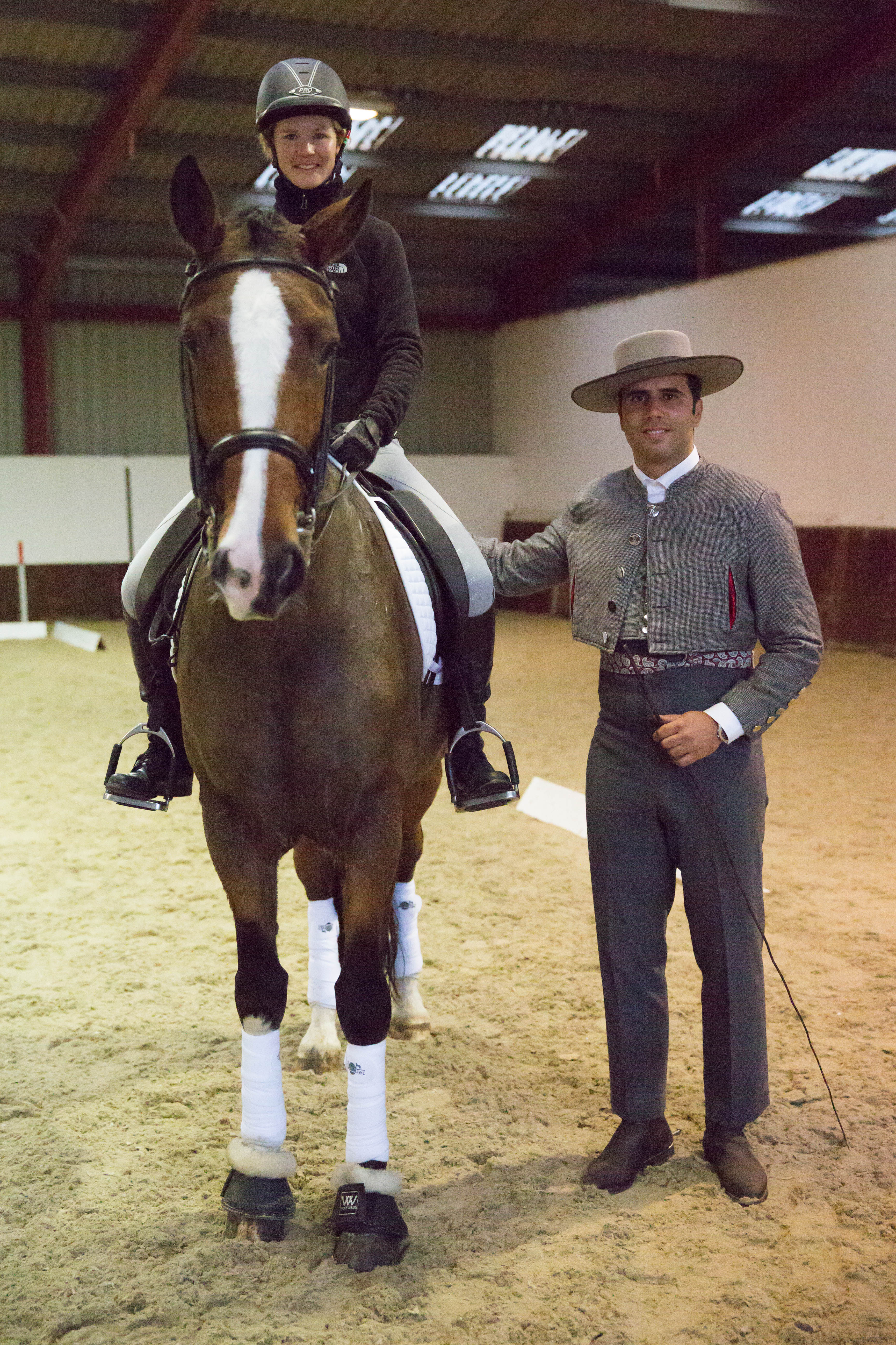 lusitano