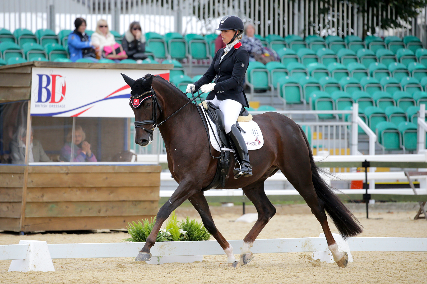 3061e-small-1800x1200