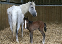 422c90944051429cf74923b28485fc14