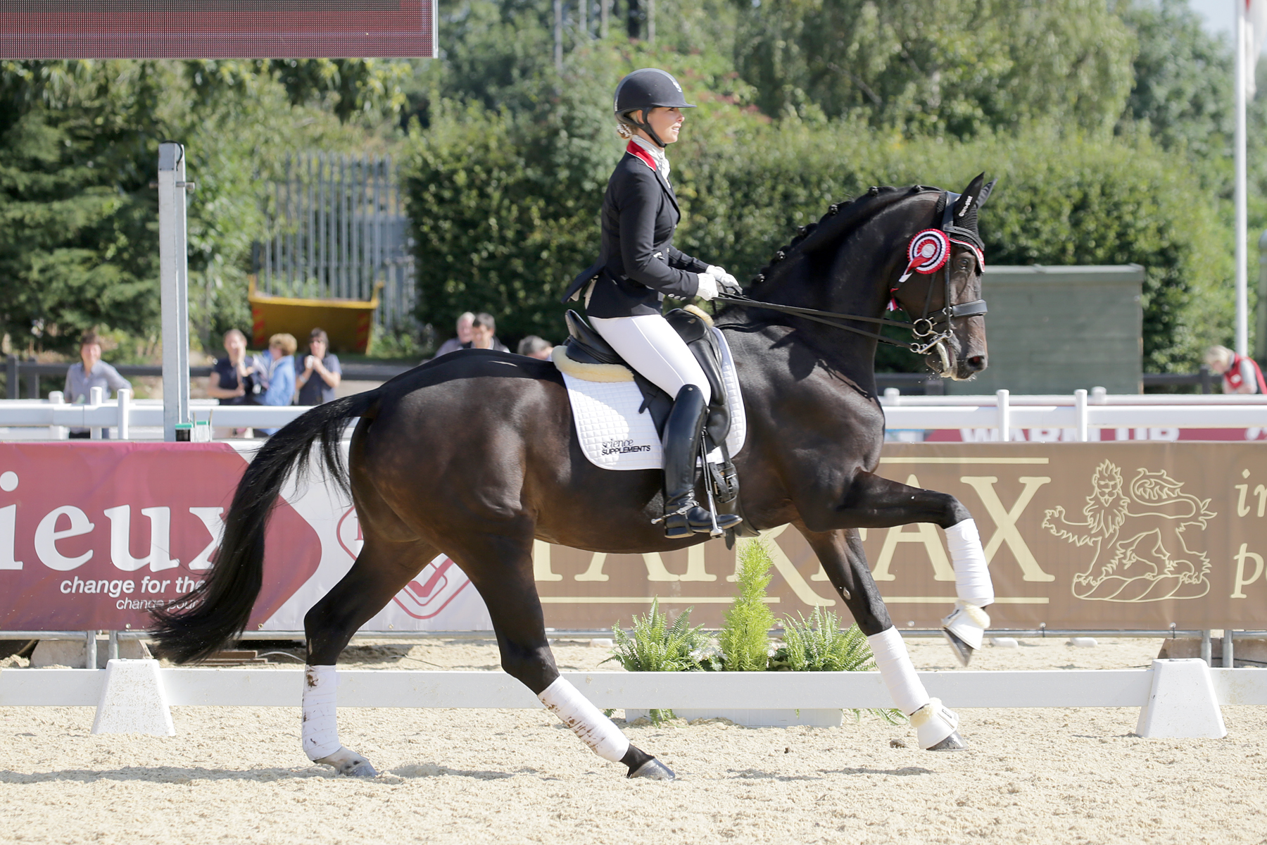 4331p-small-1800x1200