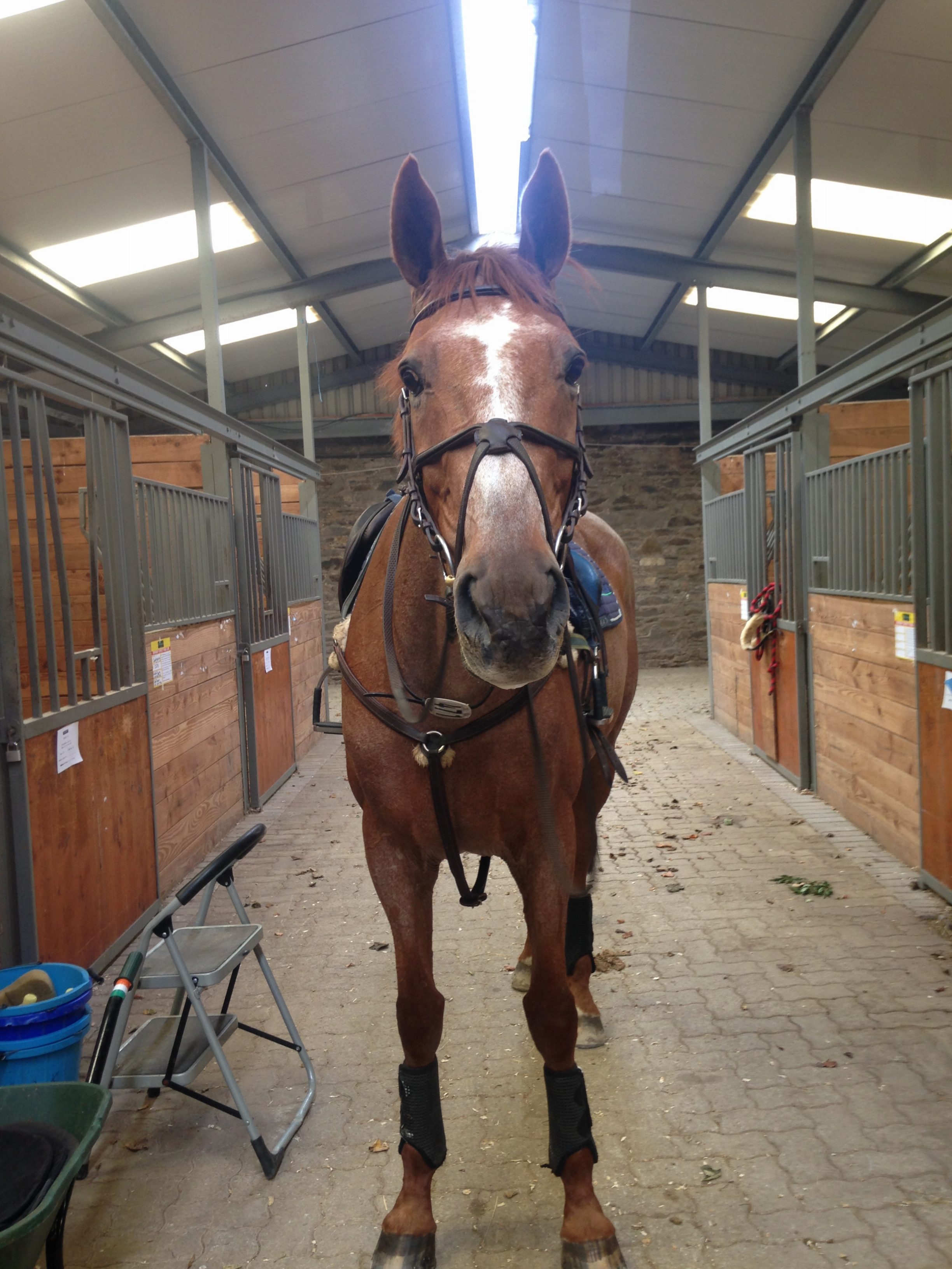 468af561-6a0b-4e9b-ac69-0a1ae67a44ce