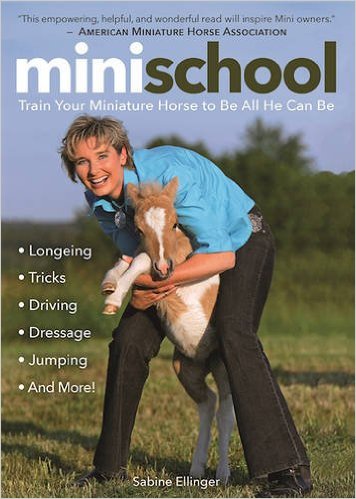mini school book