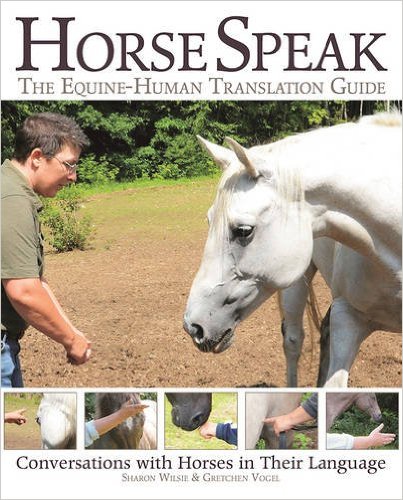 horse speak
