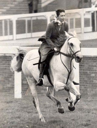 656b9e08c442e38dfe54e4235eb554d6