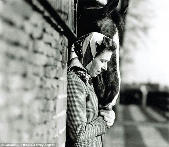 8d78d4ccc587c6670ac2aff3ffde5c6a