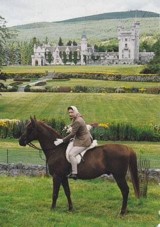 9e73d79d2f6f98f5d41735c85c589f81