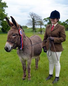 Donkey Champion Dillydaydream and handler Zoe Norton
