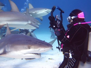 Alison Nye-Warden Diving