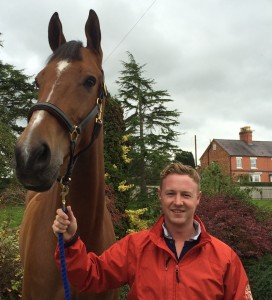 Anthony Condon Showjumper