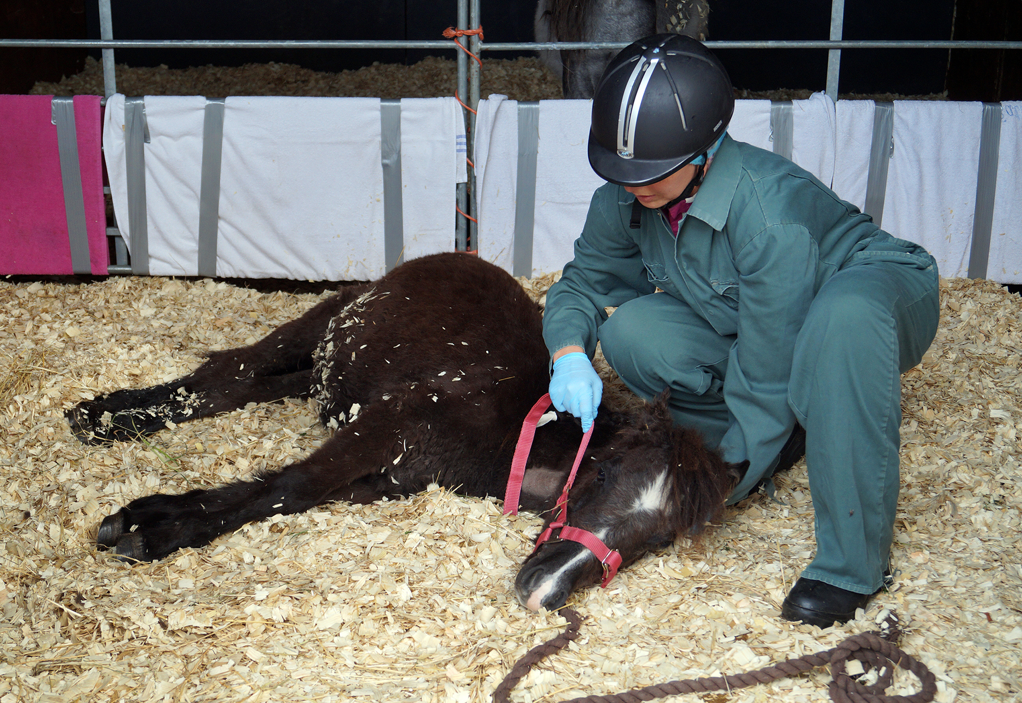 Arthur in ICU being manually lifted