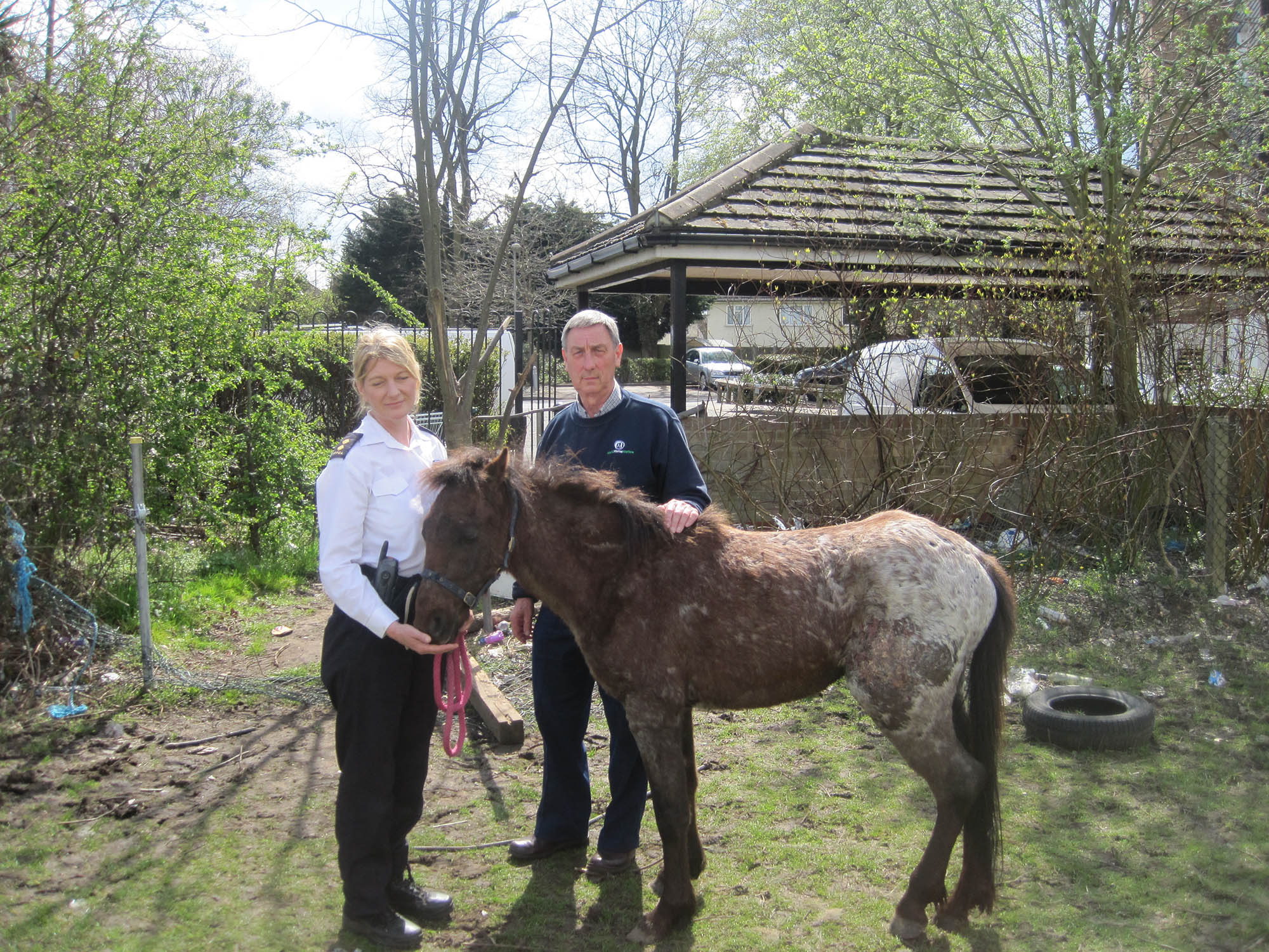 banjo-with-the-rspca-inspector-and-world-horse-welfare-field-officer