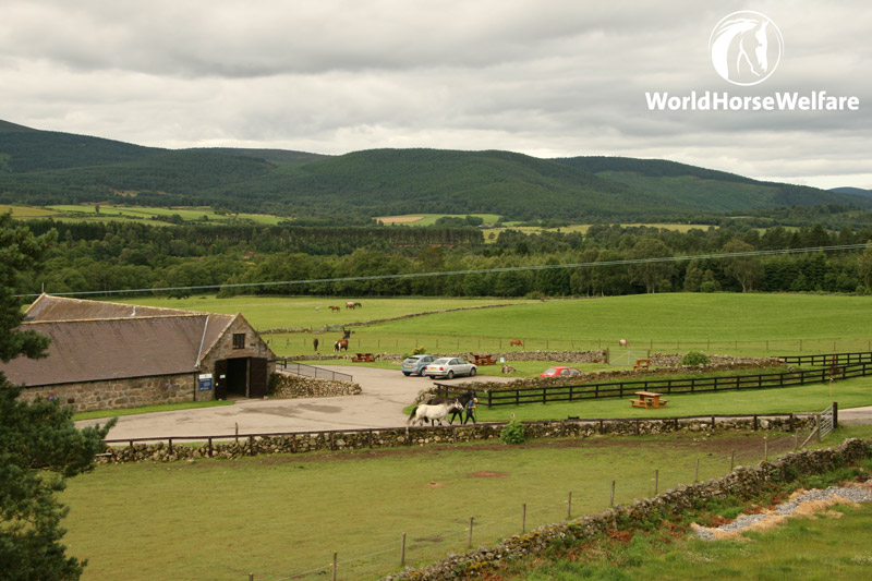 Belwade Farm