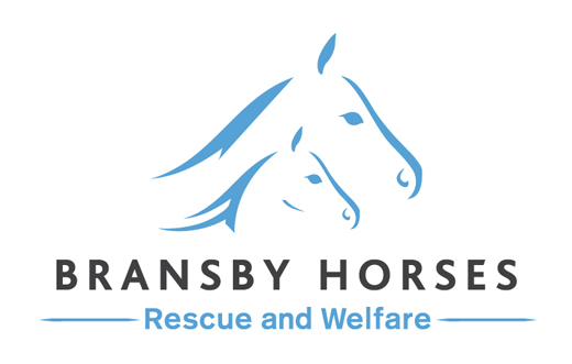 BransbyHorses_38mmLogo_cmyk