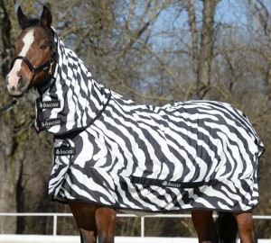 Bucas Sweet Itch Zebra