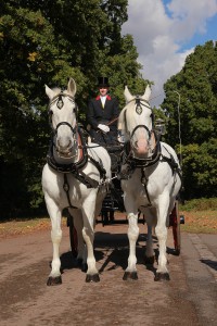 Carriage_rides