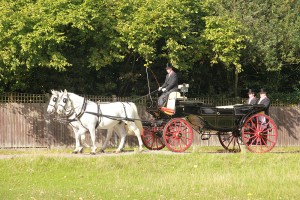 Carriage_rides3