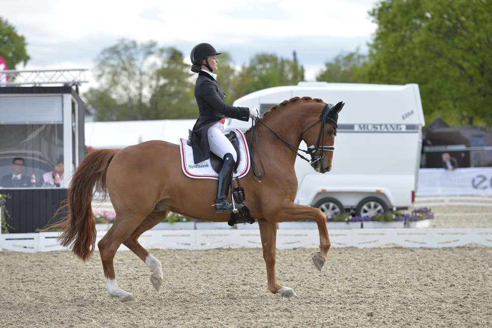 Cathrine Dufour’s double of victories with Attergaards Cassidy proved pivotal to Team Denmark’s success at the second leg of the FEI Nations Cup™ Dressage 2016 series at Odense (DEN) today. (FEI/Britt Carlsen)