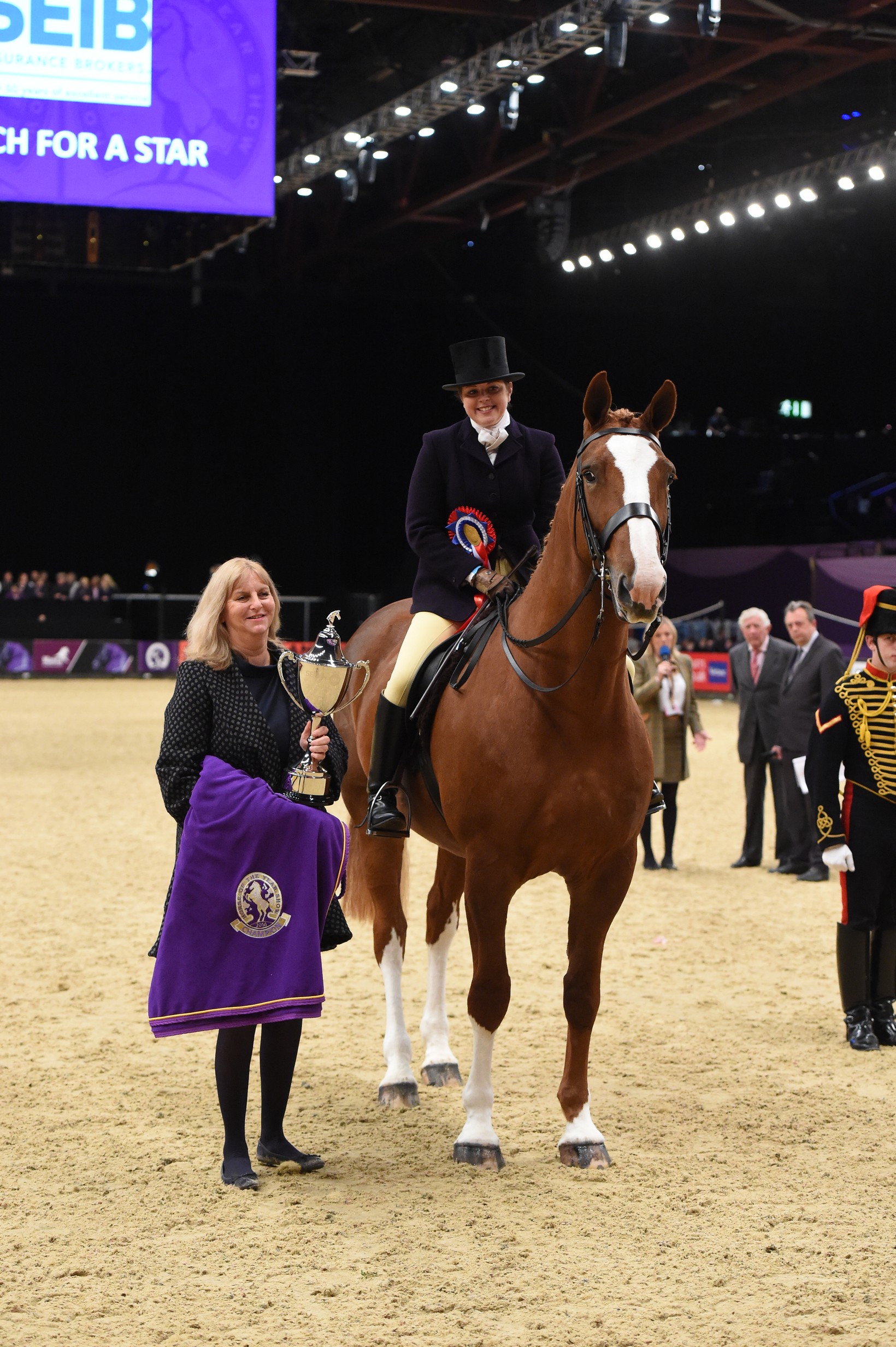 2016 SEIB Search for a Star Supreme Champion, Yorkies Purple Diamond and Vicki Rogers © ES Photography