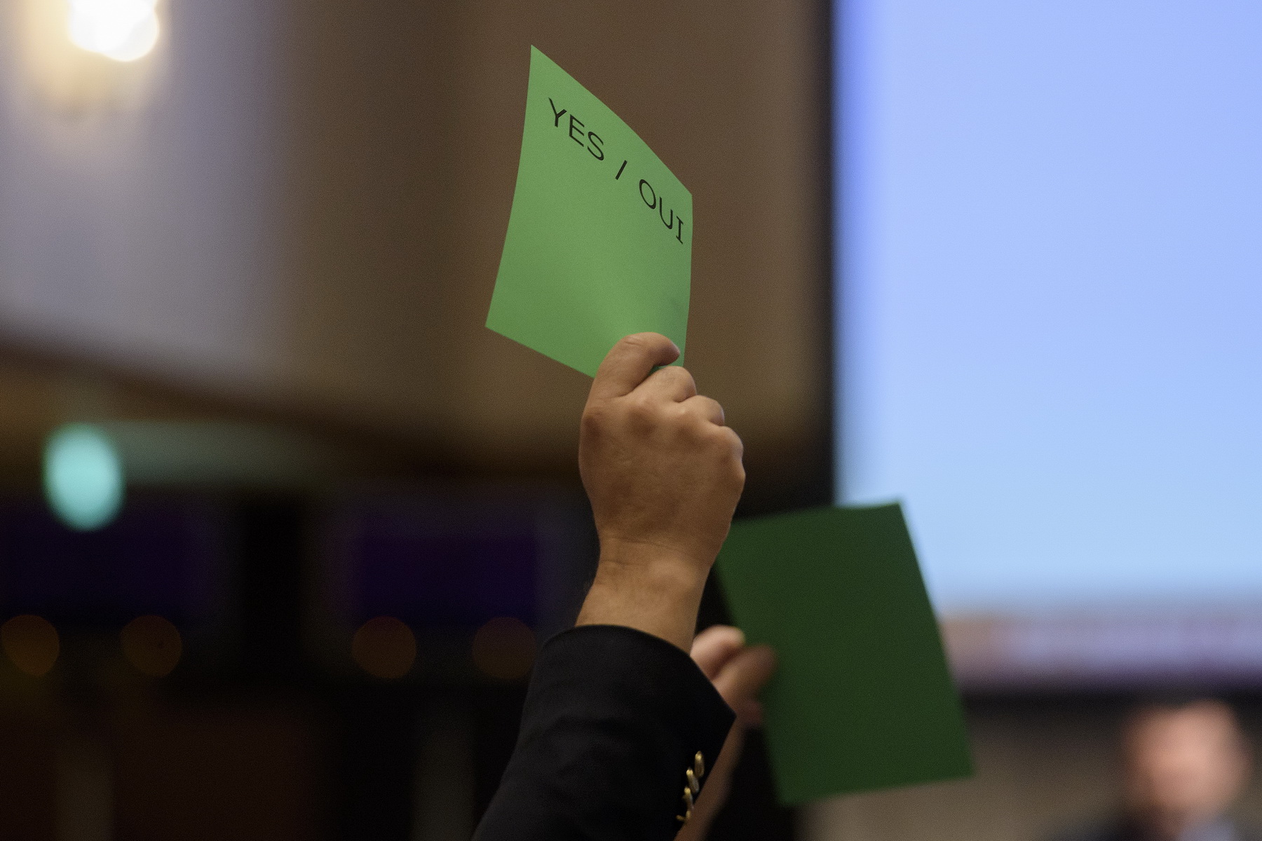 © Richard Juilliart/FEI