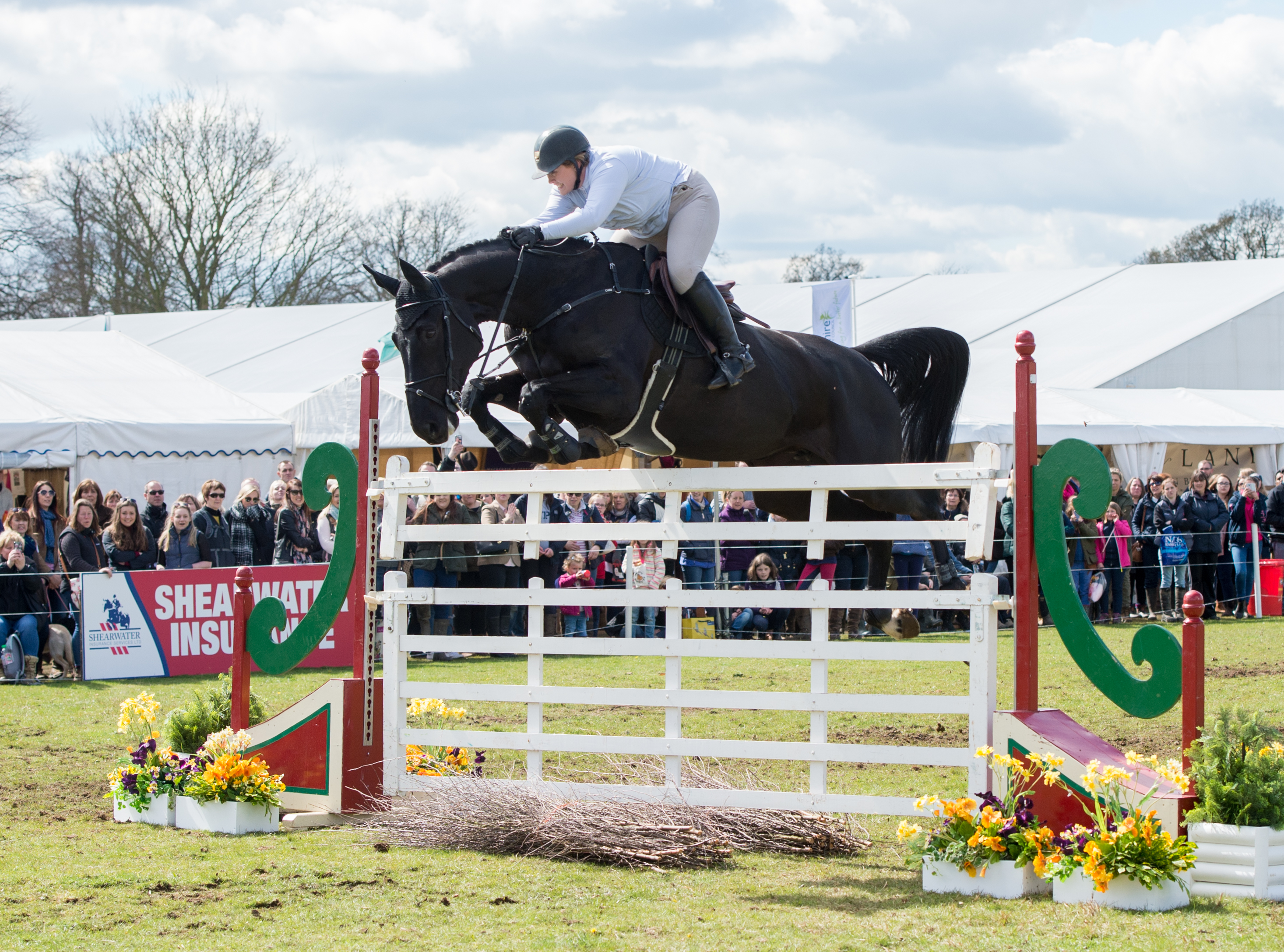Gate Jump Winner - Belton International Horse Trials 2016