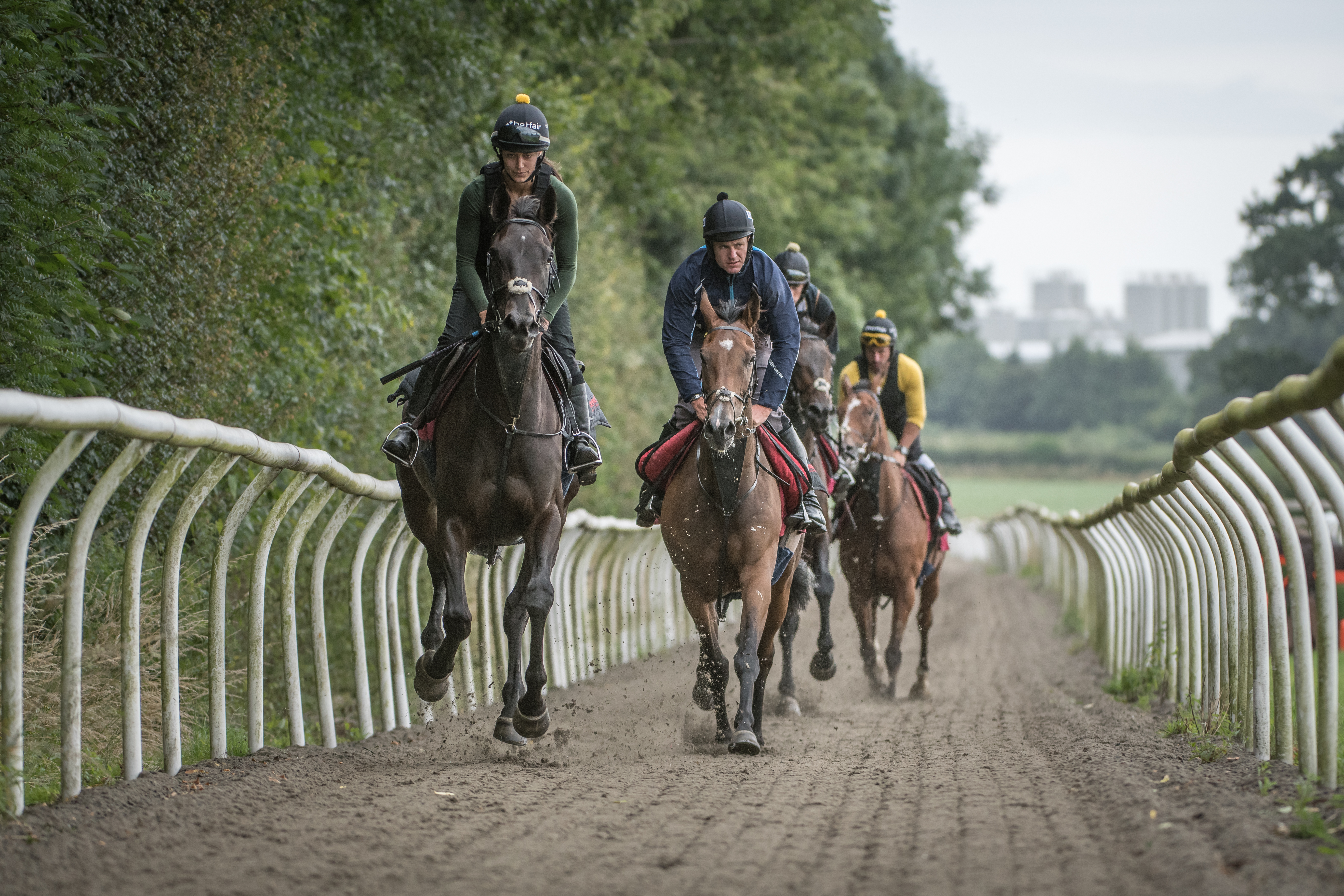 Coillte Lass leading up the gallops
