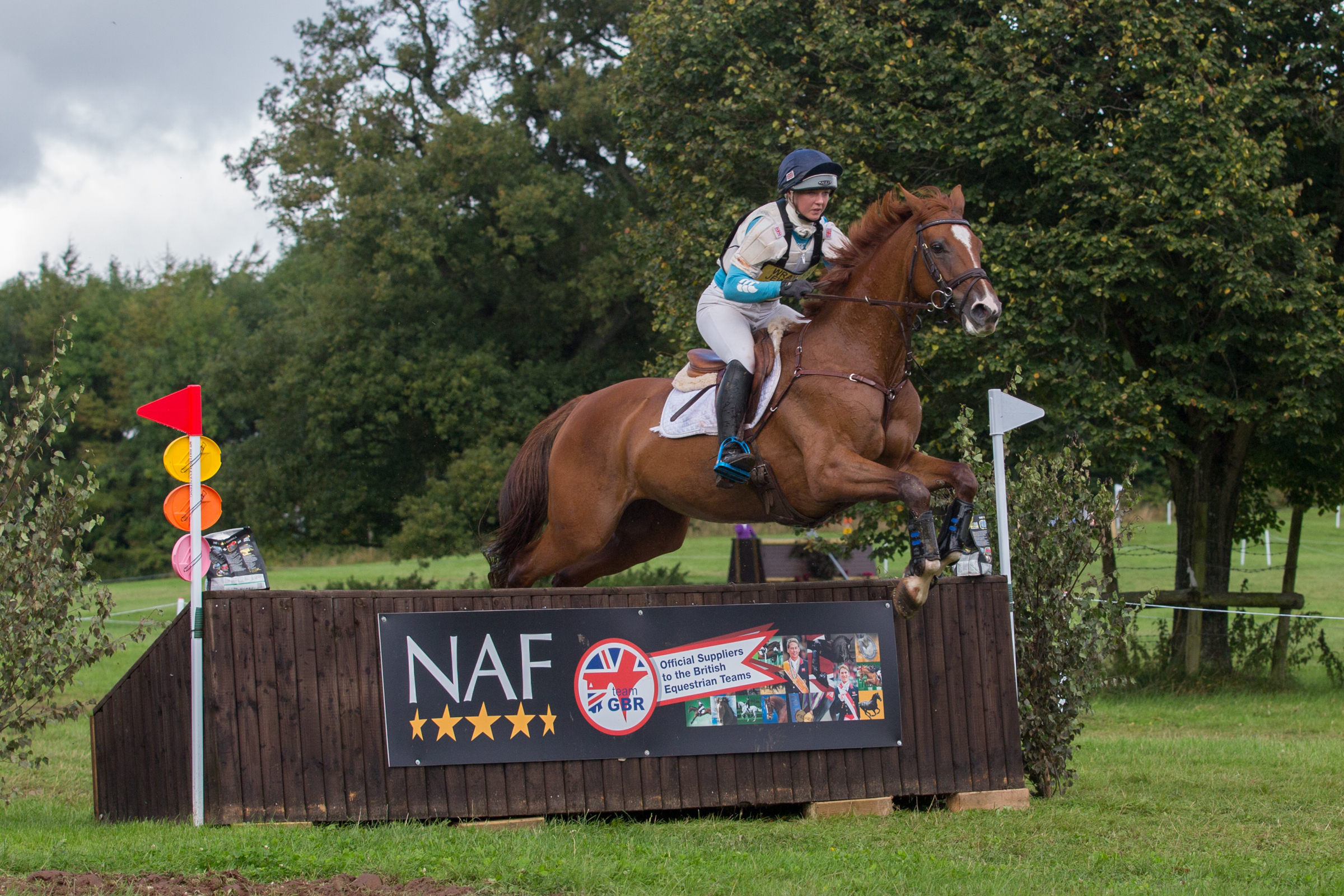 Dani Evans on CIC_ winner Marstonpark Lupina