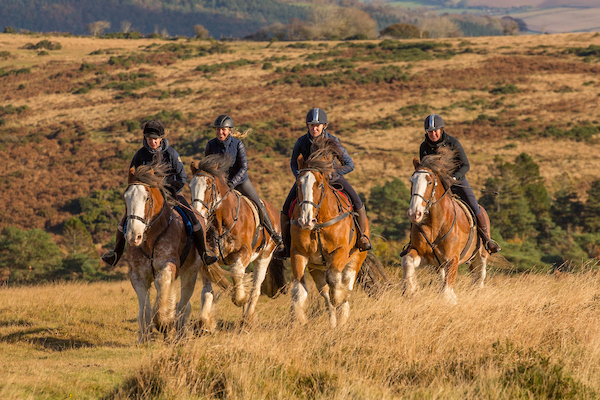 dartmoor-training-low