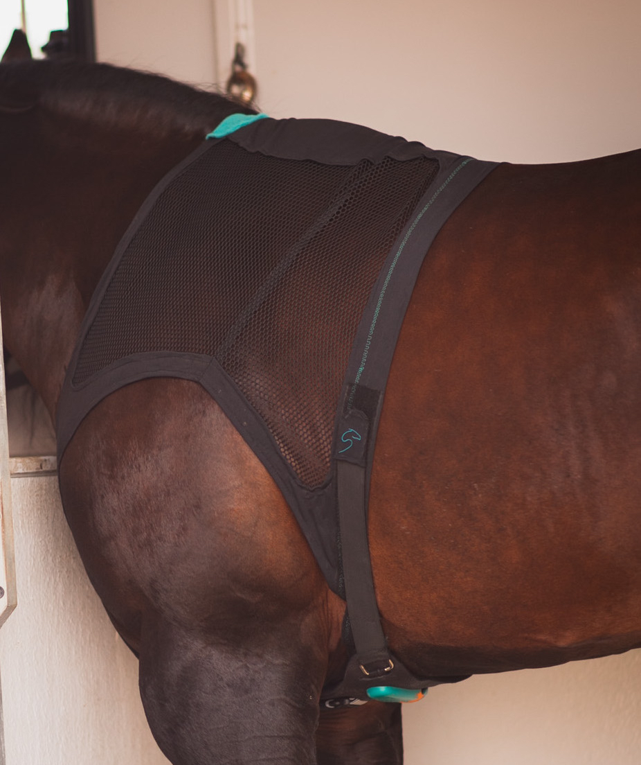 equisense-care-unit-vest