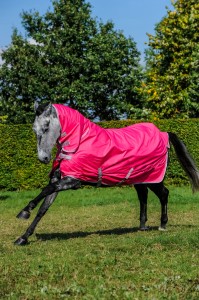 Freedom Cherry Full Neck 1576