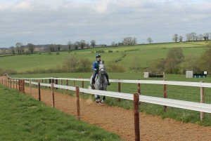 Gallops