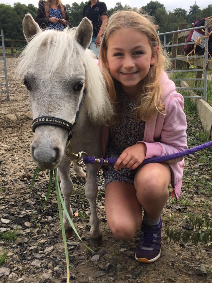 National Give Horses a Go Weekend hailed a success The Gaitpost