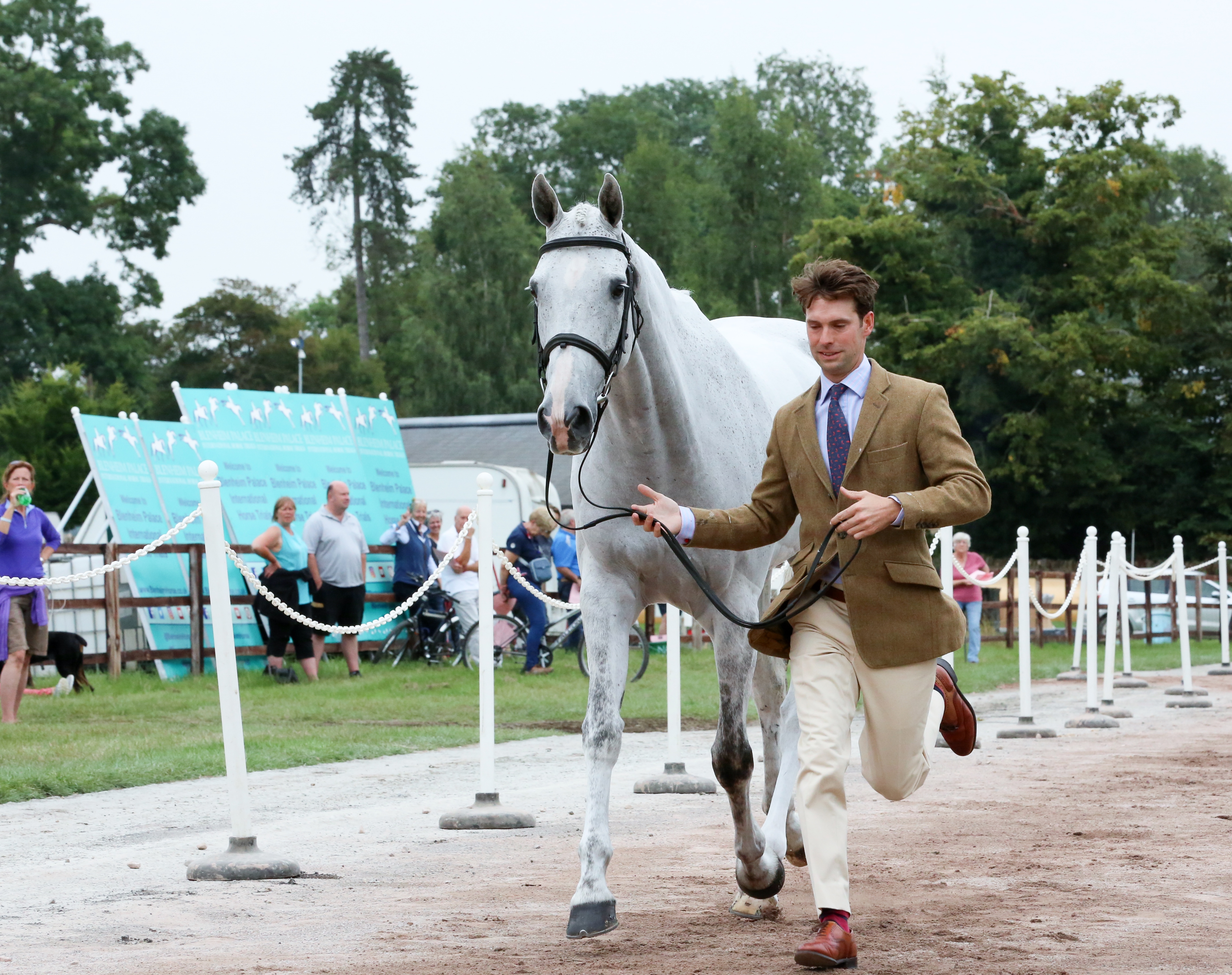 Harry Meade and Away Cruising © Michael Wynne/Blenheim Palace International Horse Trials.