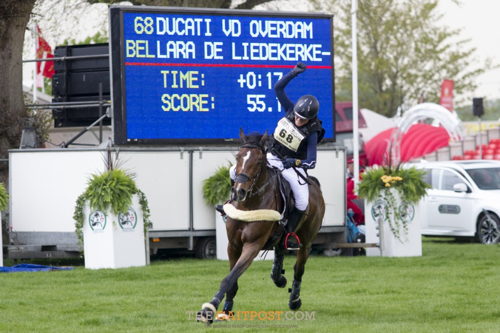 Lara de Liedekerke-Meier