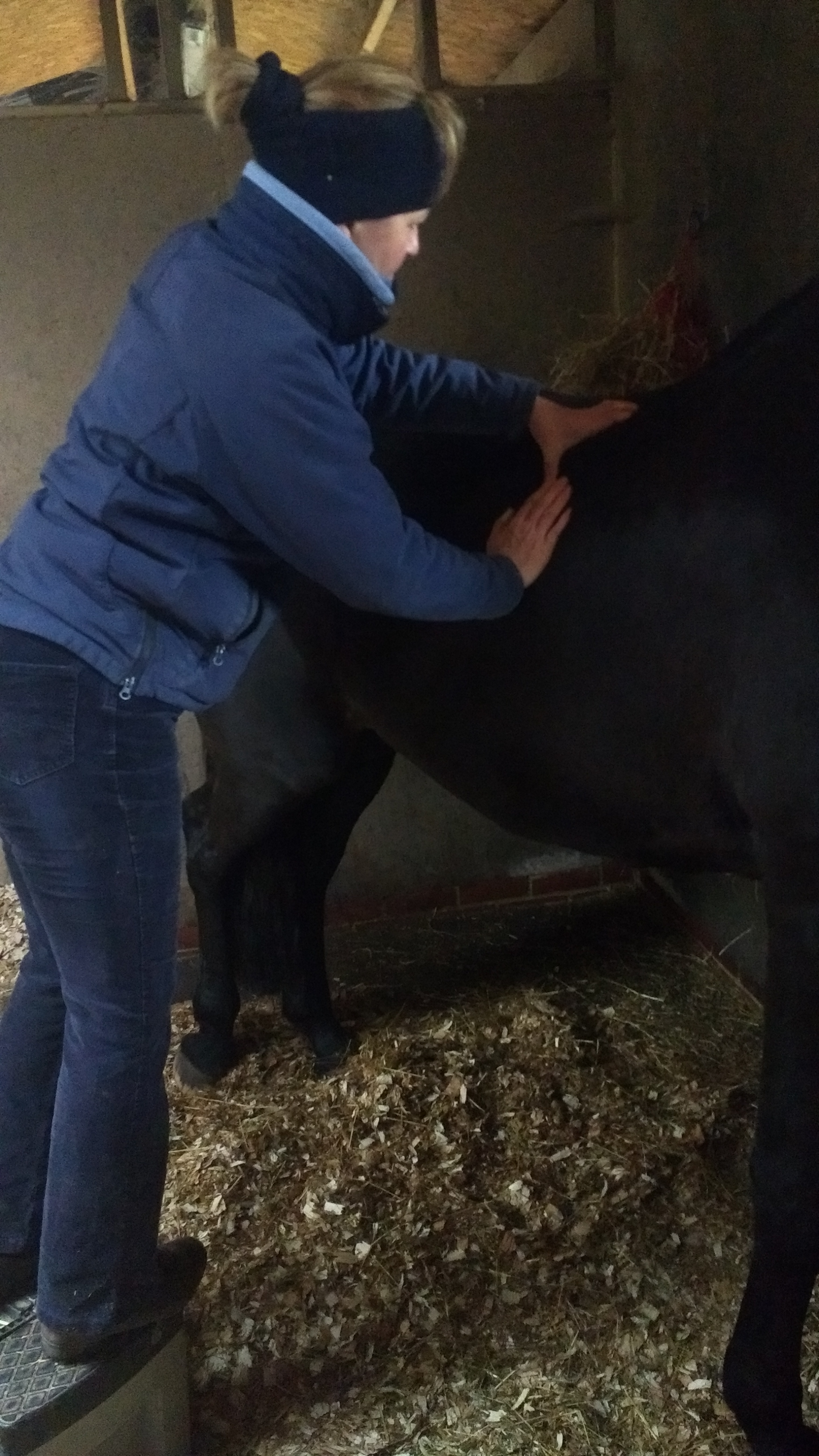 IMG_20170106_105957820