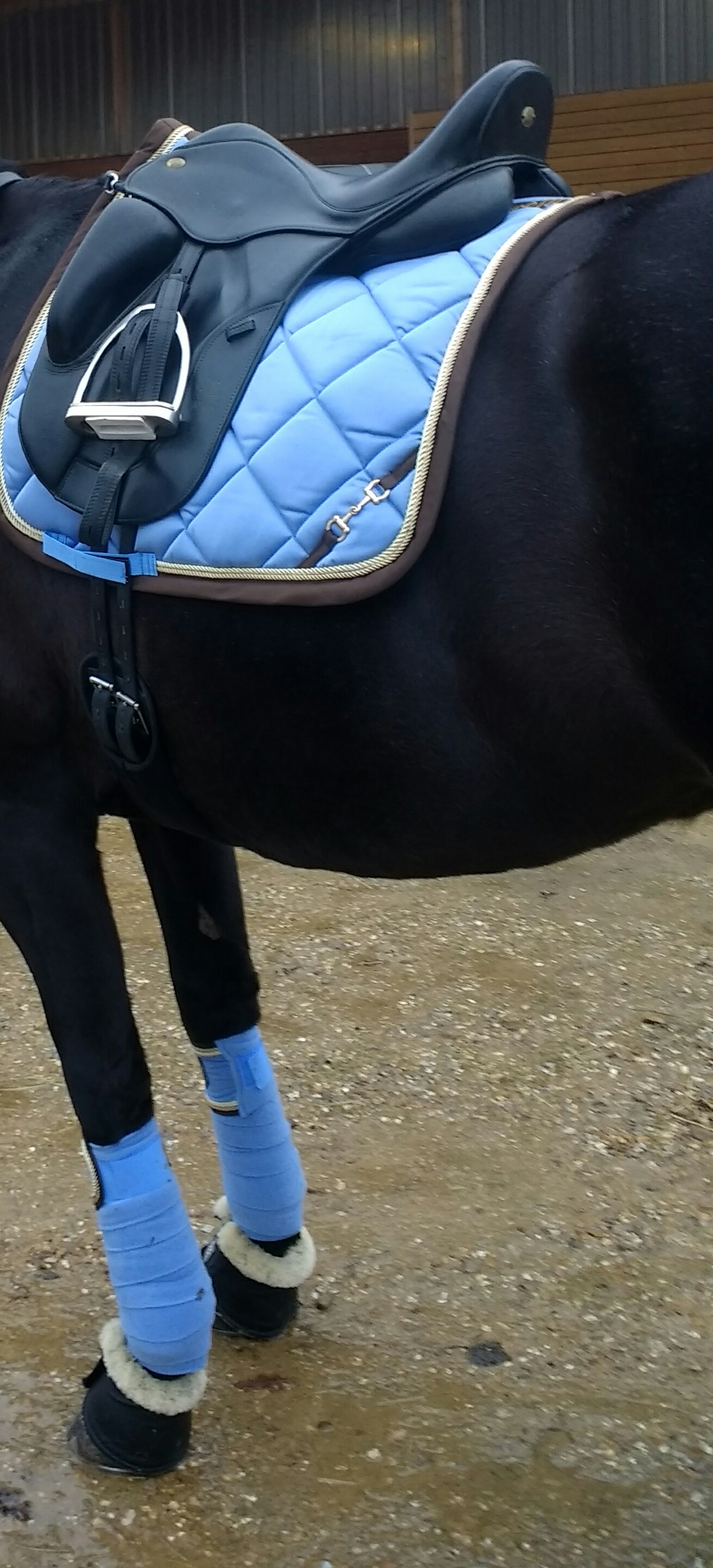 IMG_20170115_101403199