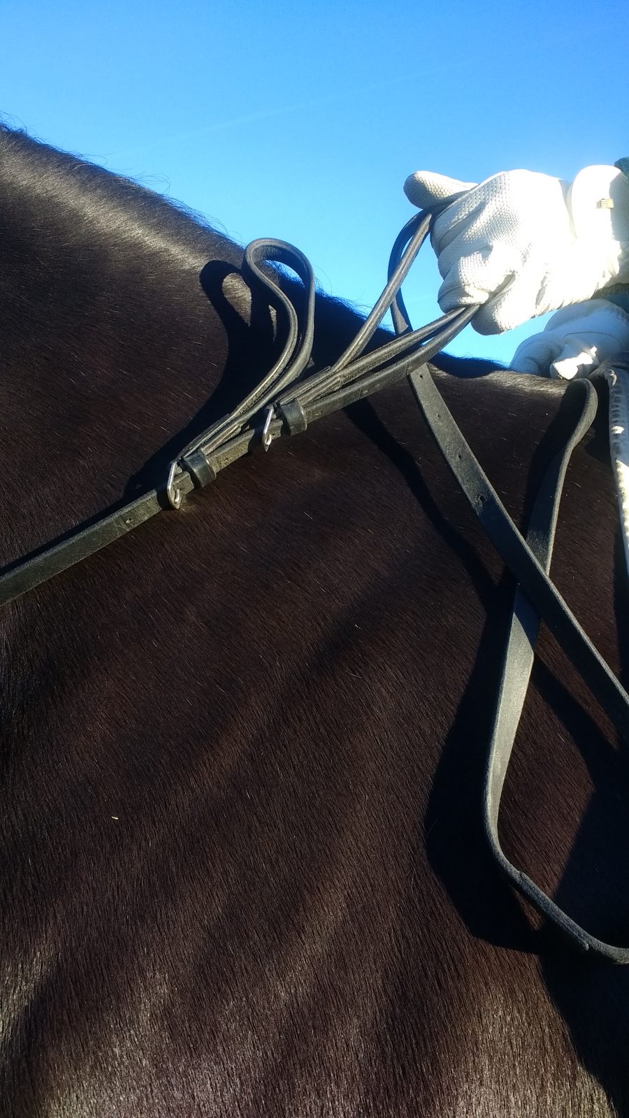 IMG_20170117_100546653