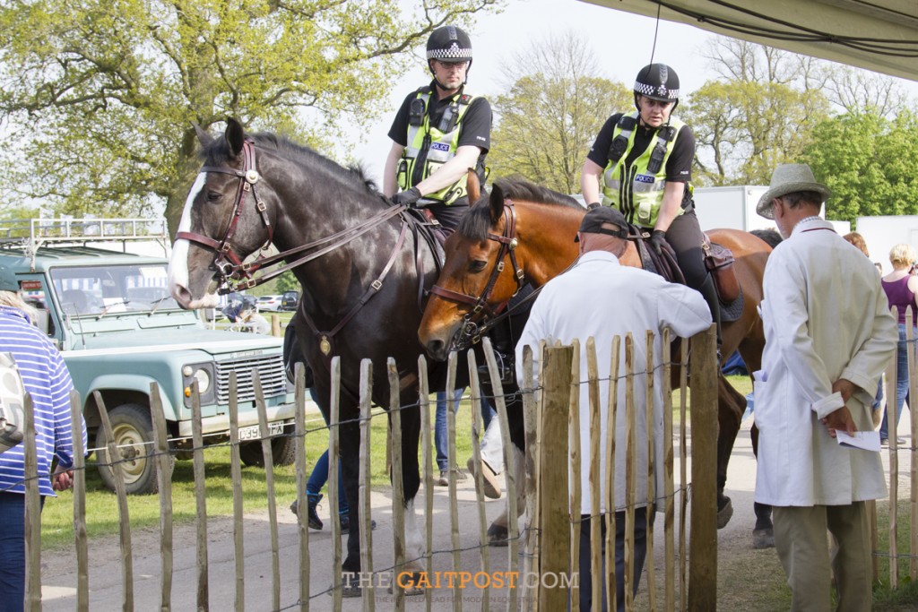 Police horses