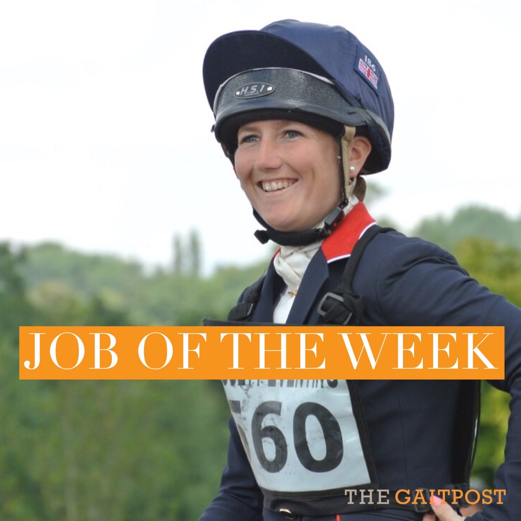 JOBS Head Groom for Laura Collett The Gaitpost