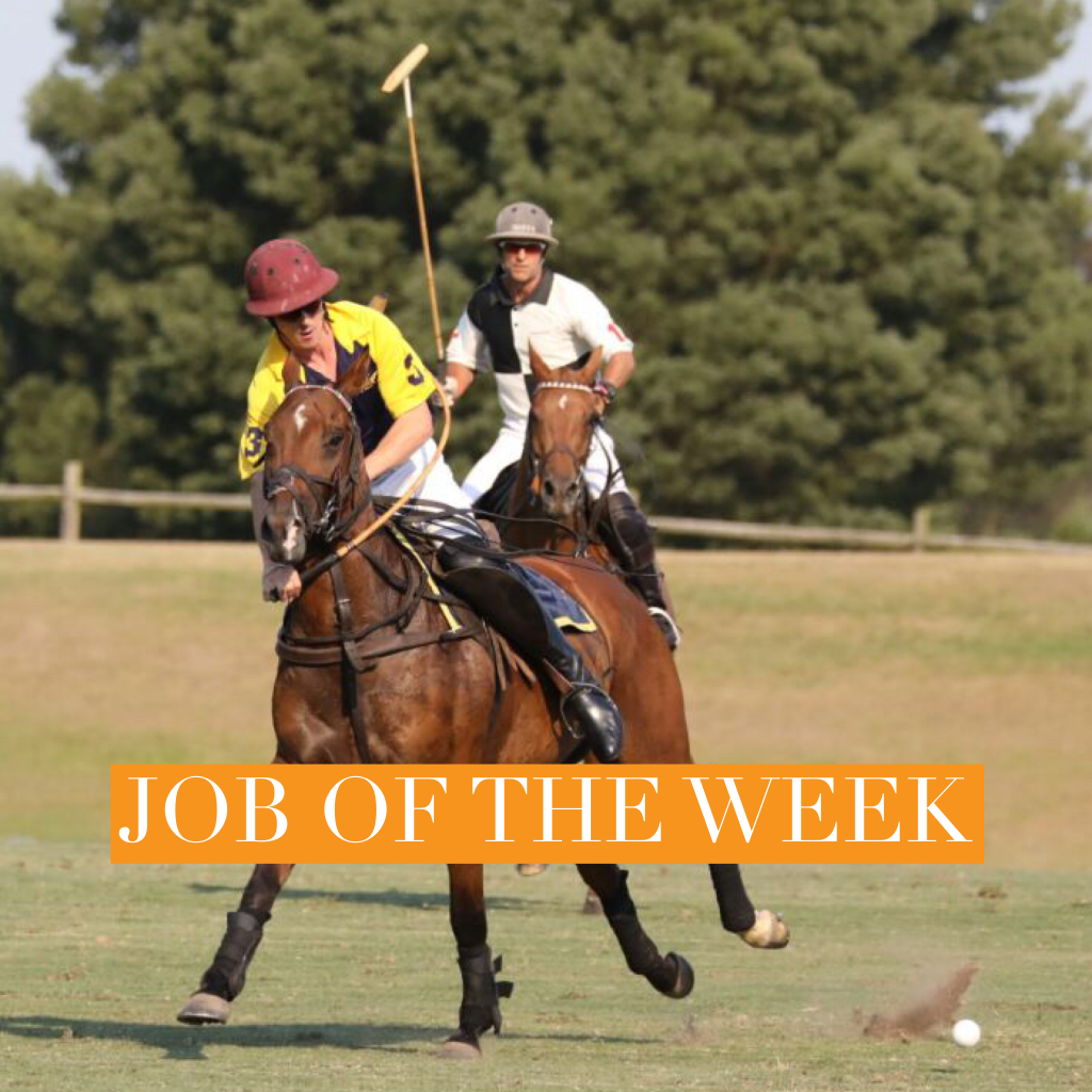 JOBS Groom for Meyrick Recruitment The Gaitpost