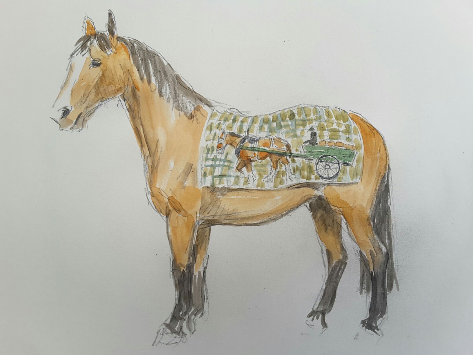 Judith Stowell's sketch of Digger