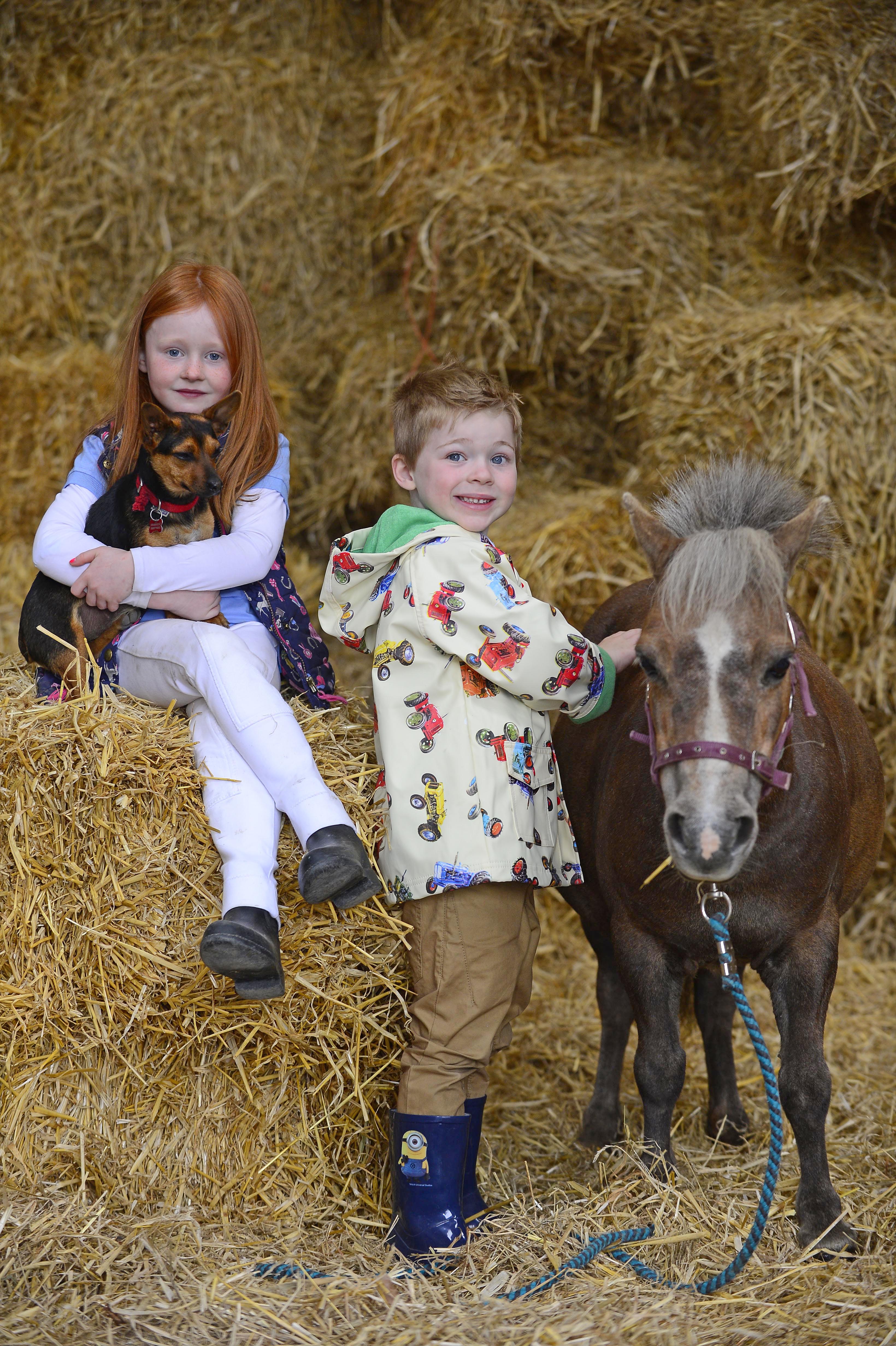 KASEY LOU CARBERRY (6) and "Kerry" along with JUDE VAUGHEN (4) and "Daisy", at this morning's TATTERSALLS INTERNATIONAL HORSE TRIALS & COUNTRY FAIR 2016 PHOTO LAUNCH. 10-5-2016. Photo PAT HEALY.