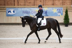 Grade 2 - Freestyle - Para-Dressage FEI European Championships Deauville 2015 - Pole International du Cheval, Deauvile, Normandy, France - 20 September 2015