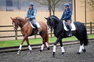 Leslie Bliss Photography