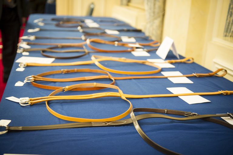 Different Types of Martingale Features The Gaitpost