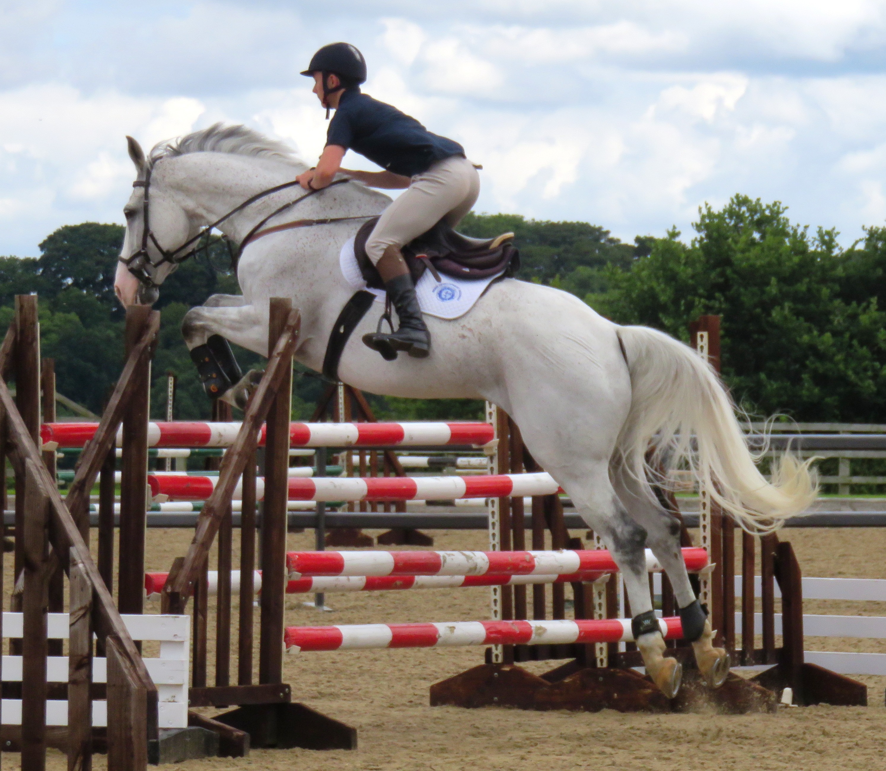 Oli Grainge - Showjumping