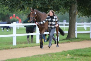 Credit: Michael Wynne