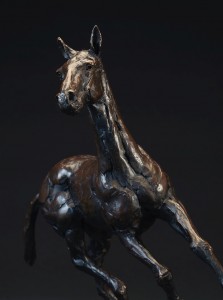 Polo Pony HM2